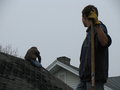 2008-10-17 Jean Gets a New Roof-003.jpg